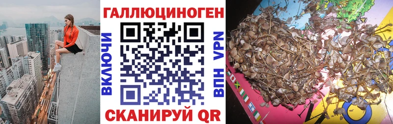 мега вход  сайты даркнета клад  Псилоцибиновые грибы мицелий  Баймак 